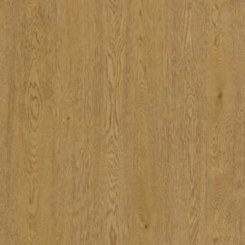 American White Oak