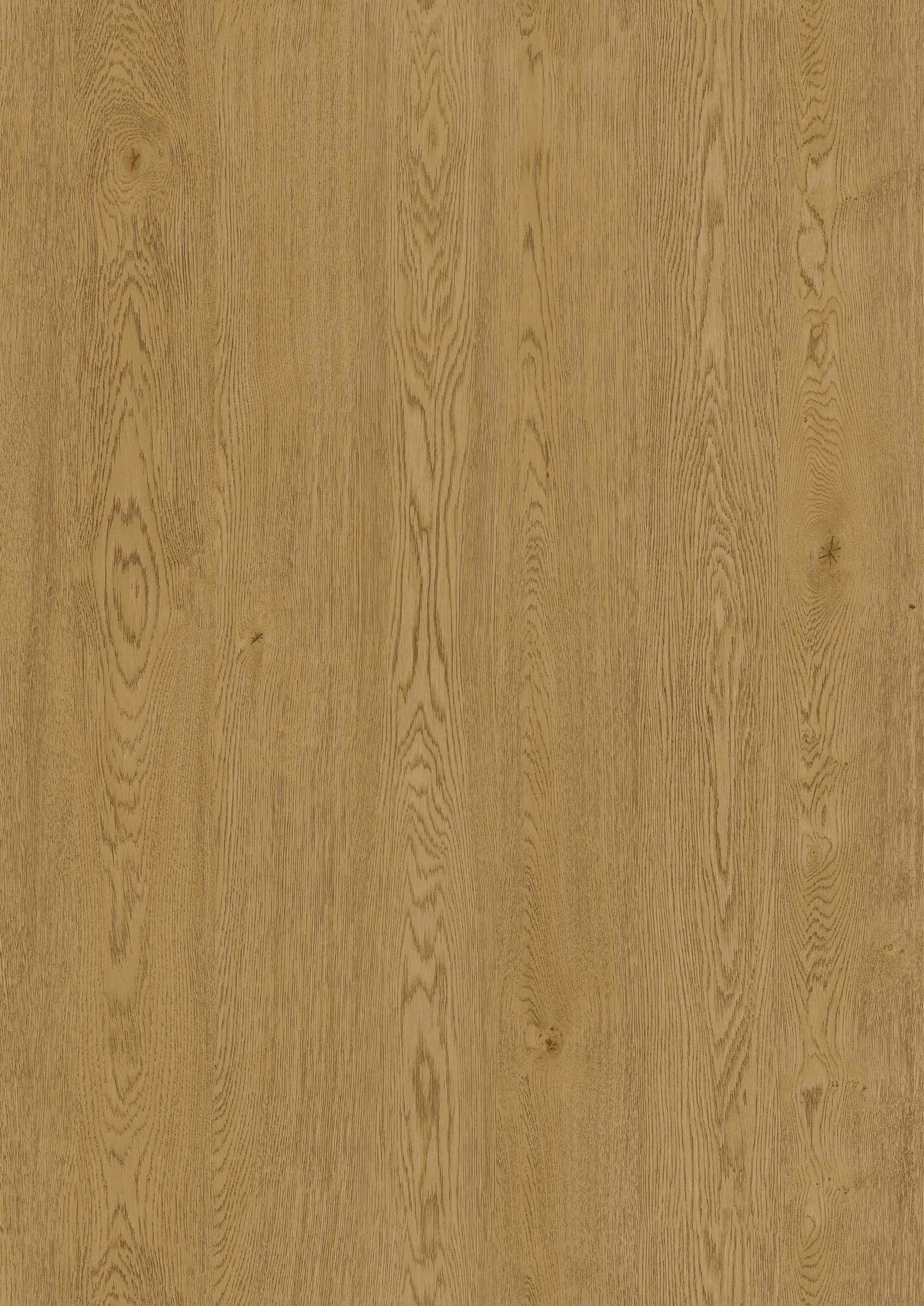 American White Oak
