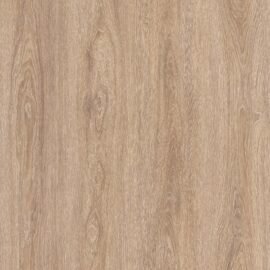 Canary Oak