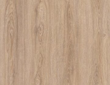 Canary Oak