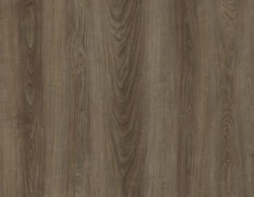 Eastern Walnut
