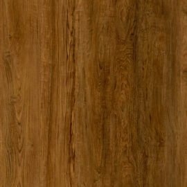Golden Teak