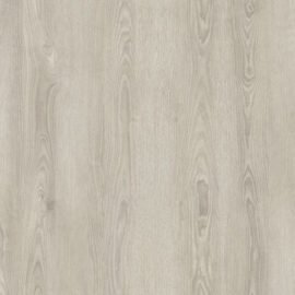 Precious oak