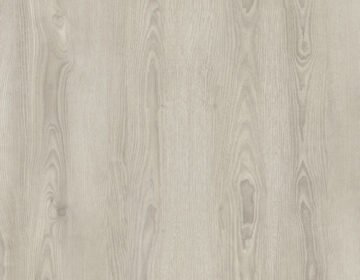 Precious oak